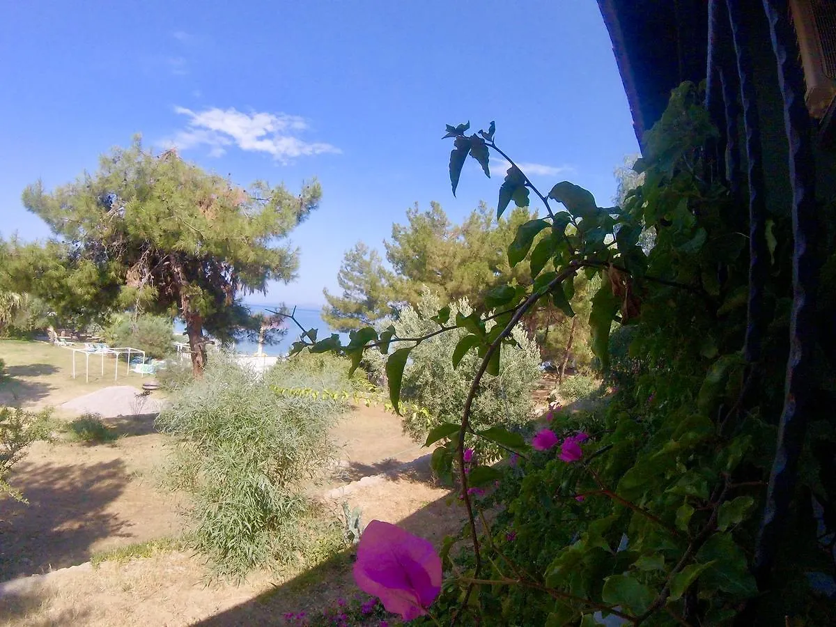 Rainbow Bay Ozdere Beach Hotel 0*,  Turkey